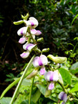 G9_10507s