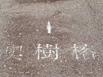 G9_10531s