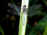 G9_10539s