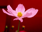 G9_01038s