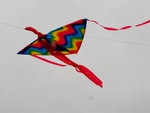 G9_01951s