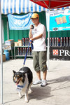 D2H_8198s