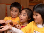 D2H_9884s