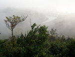 G9_00595s