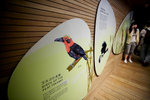 1Ds_6382s
