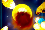 1Ds_0485s