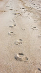 DL3_1009s