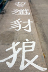 P1000564s
