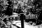 M8_17259bw