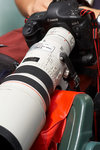 D2H_9843s