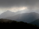 G9_09557s