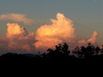 G9_09604s