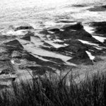 GX_03395s