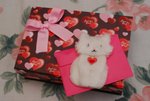 14-2-2009 情人節禮物,  Thx my baby~