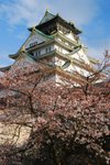 1-4-2009 大阪城櫻花