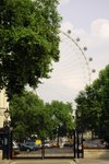 DSC_6231_tn
