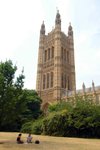 DSC_6293_tn