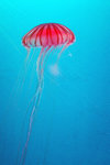 DSC_4057_tn