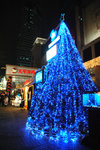 少見的冰藍聖誕樹