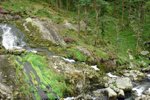 DSC_9121_tn