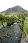DSC_9130_tn