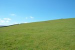 DSC_8200_tn