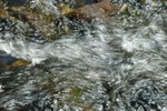 DSC_8243_tn