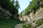 DSC_8268_tn