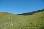 DSC_8286_tn