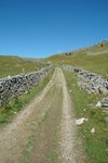 DSC_8300_tn