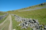 DSC_8301_tn