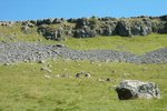 DSC_8305_tn