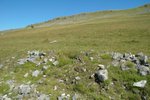 DSC_8314_tn