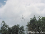 IMG_0030