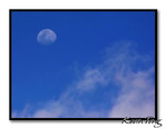 Evening Moon