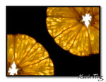 Citrus Pair