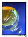 Contrasting Citrus