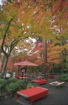 2002-Kyoto-63