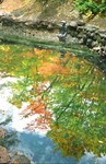 2003-Jap-041