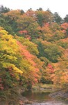 2003-Jap-054