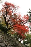 和歌山城