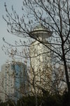 DSC_7134