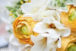 JOE_7895as