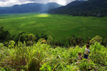 RUTENG RICE TERRACE 10