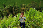 RUTENG RICE TERRACE 11