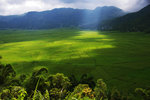 RUTENG RICE TERRACE 12