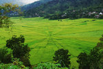RUTENG RICE TERRACE 8