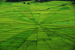 RUTENG RICE TERRACE 9