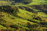 RUTENG SUNRISE 3