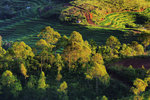 RUTENG SUNRISE 4